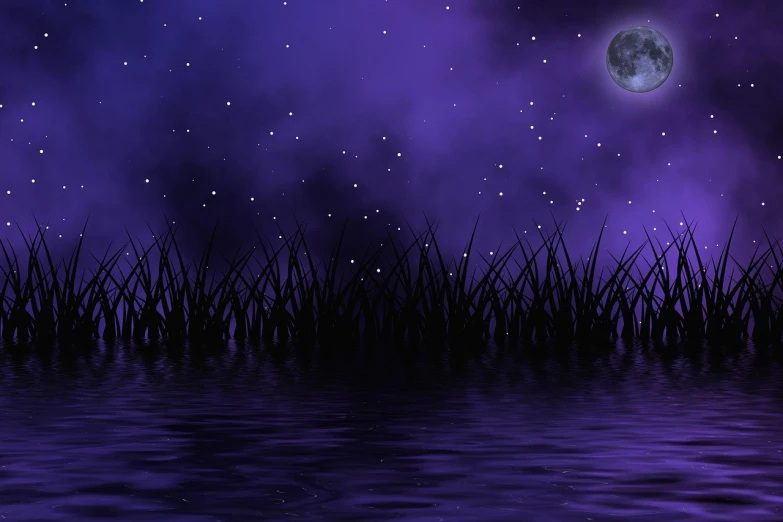 a night scene with grass and a full moon, digital art, shutterstock, digital art, deep dark purple waters, stars reflecting on the water, swampy atmosphere, purple fog