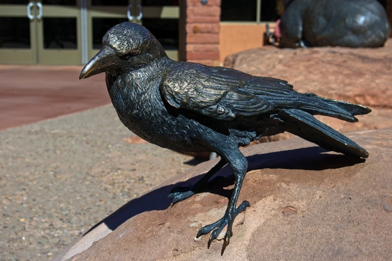 a statue of a bird sitting on a rock, a bronze sculpture, by Kathleen Scott, closeup of a crow, arizona, very detailed birds, walking down