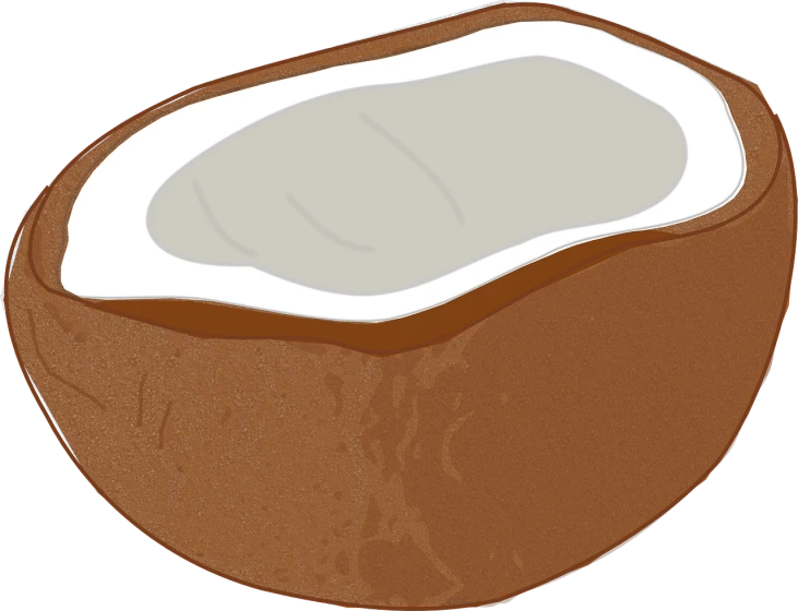a close up of a coconut on a black background, an illustration of, pixabay, sōsaku hanga, flat drawing, steak, without background, brown:-2