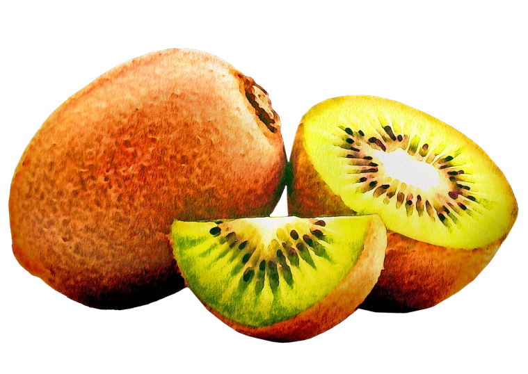 a close up of a kiwi fruit cut in half, a digital rendering, by Tomioka Tessai, pixabay, digital art, bright green dark orange, in front of a black background, trio, tanned skintone