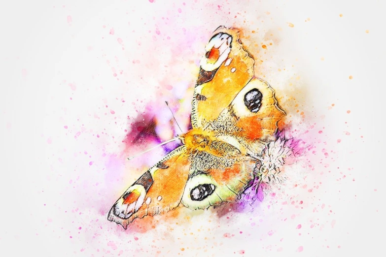 a close up of a butterfly on a white surface, a watercolor painting, digital art, mixed media style illustration, masterpiece illustration, spitfire, a beautiful artwork illustration