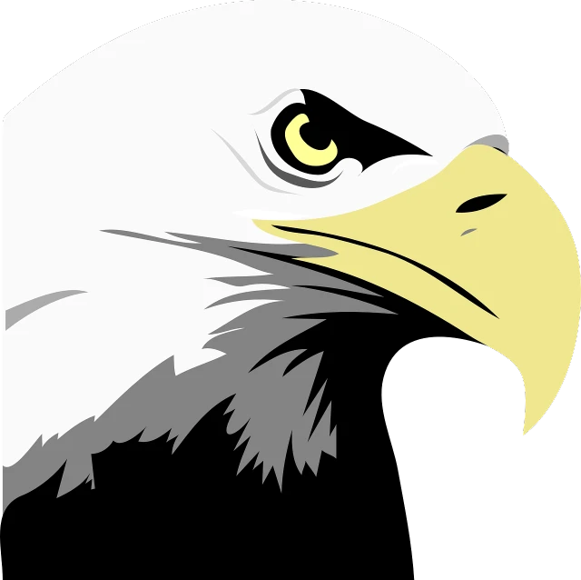 a close up of an eagle's head on a black background, vector art, 2 0 1 0 photo, modern simplified vector art, 1128x191 resolution, cartoon illustration