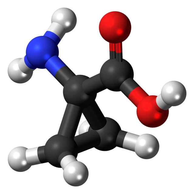 a close up of a model of a molecule, a raytraced image, by Julian Hatton, flickr, colors red white blue and black, simple chromatic xray, equine, sad scene