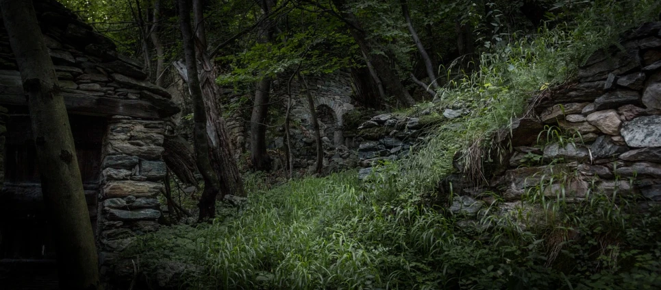 a stone building sitting in the middle of a forest, a picture, by Gigadō Ashiyuki, overgrown place, dark, photo taken with canon 5d, sylvan glade