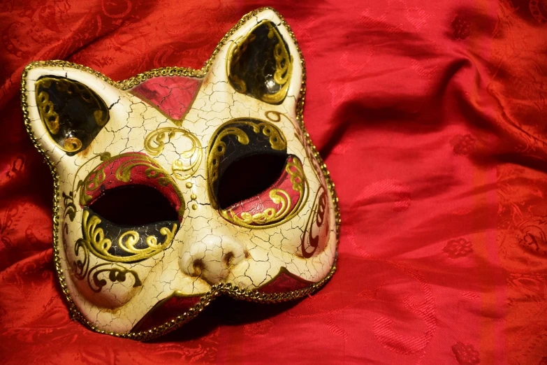a close up of a cat mask on a red cloth, by Rhea Carmi, shutterstock, venetian mask, a wide full shot, high angle close up shot, cat theme banner