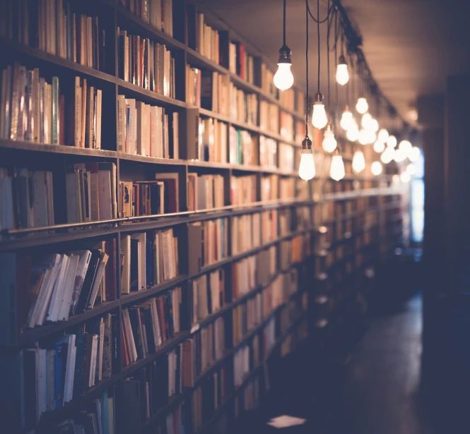 a long bookshelf filled with lots of books, by Jakob Gauermann, pexels, muted lights, retro vibe, stock photo, lights inside