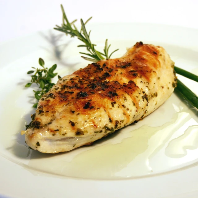 a piece of chicken sitting on top of a white plate, renaissance, herbs, flattering photo, high res photo