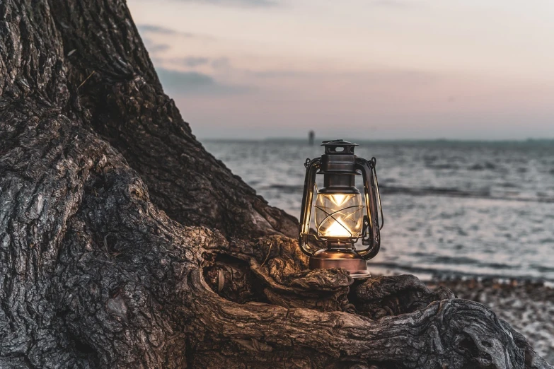 a lantern sitting on top of a tree next to the ocean, a picture, by Adam Szentpétery, pexels, romanticism, carbide lamp, highly detailed composition, rustic setting, high res photo