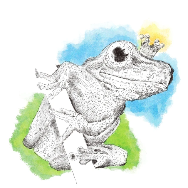 a drawing of a frog with a crown on its head, an illustration of, inspired by Rafael Ritz, realism, afternoon sunshine, whole page illustration, whites, anthro gecko