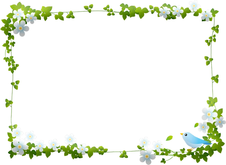 a blue bird sitting on a branch with white flowers, a picture, sōsaku hanga, clematis theme banner, black!!!!! background, ivy, 4k high res