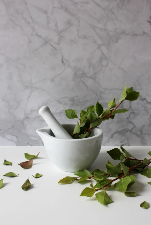 a mortar and some leaves on a table, inspired by Robert Mapplethorpe, pexels, fresh basil, white porcelain skin, old kitchen backdrop angled view, stock photo