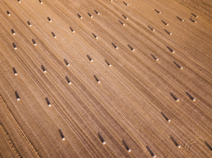 an aerial view of a tractor plowing a field, a stock photo, by Richard Carline, shutterstock, conceptual art, brown stubble, in a row, spores floating in the air, vertical lines