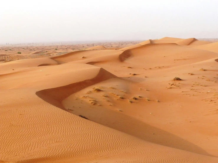 a person riding a horse in the desert, inspired by Frederick Goodall, hurufiyya, iphone wallpaper, victorian arcs of sand, many smooth curves, middle east