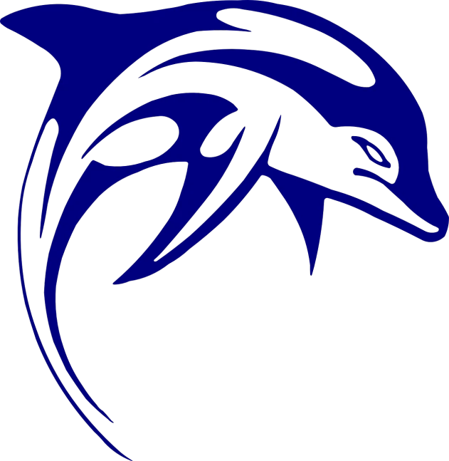 a blue dolphin logo on a black background, a photo, turian, schools, f18, holy