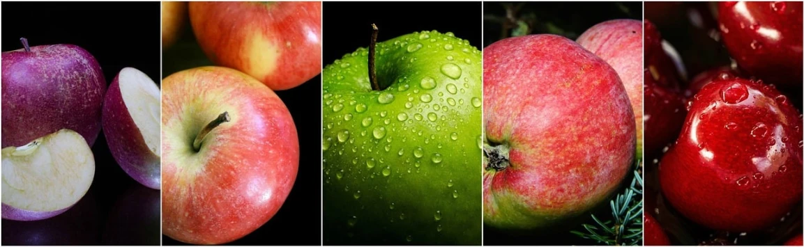 a bunch of apples that are next to each other, by Tom Carapic, pixabay, renaissance, triptych, dew, portait photo, hyperdetailed mix