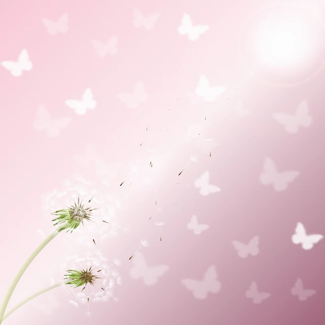 a dandelion blowing in the wind with butterflies in the background, digital art, petal pink gradient scheme, diffuse sunlight, very beautiful photo, no gradients