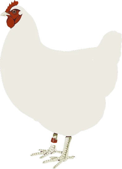 a white chicken on a black background, inspired by Charles W. Bartlett, sōsaku hanga, balloon, attached tail, bloated, round-cropped