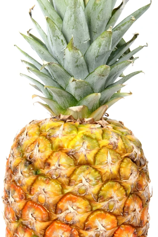 a close up of a pineapple on a white background, a portrait, shutterstock, -h 1024, cutout, straw, clear detailed view