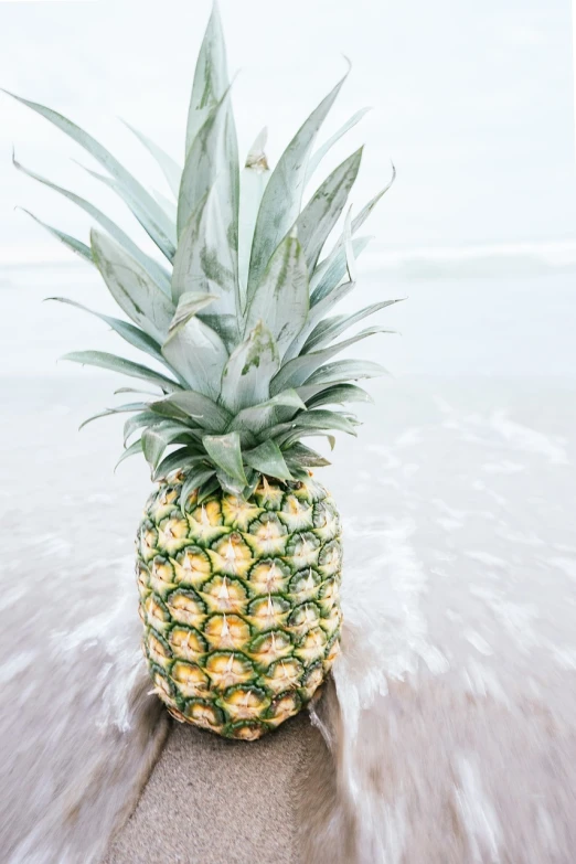 a pineapple sitting on top of a sandy beach, fine art, vsco film grain, splashing, a wooden, well edited