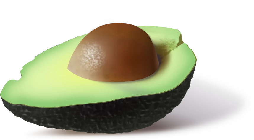 an avocado cut in half on a plate, a digital painting, deviantart contest winner, shading!!!, painttool sai, wikihow illustration, bottom shot