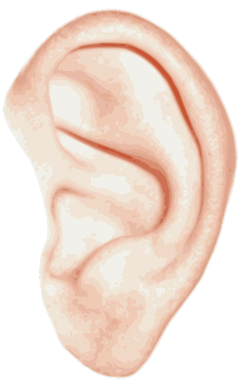 a close up of a human ear on a black background, a digital painting, clean cel shaded vector art, background image, detailed vector