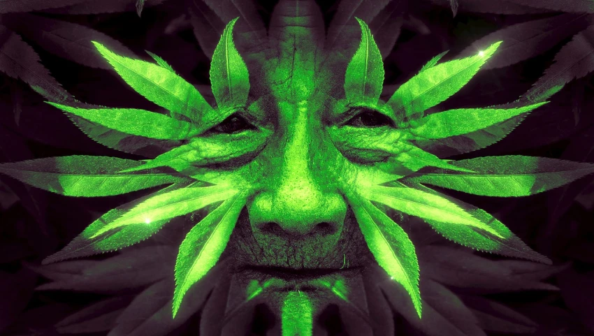 a green man with leaves on his face, digital art, psychedelic art, marijuana photography, 3 d render of a shaman, elder, jamaica