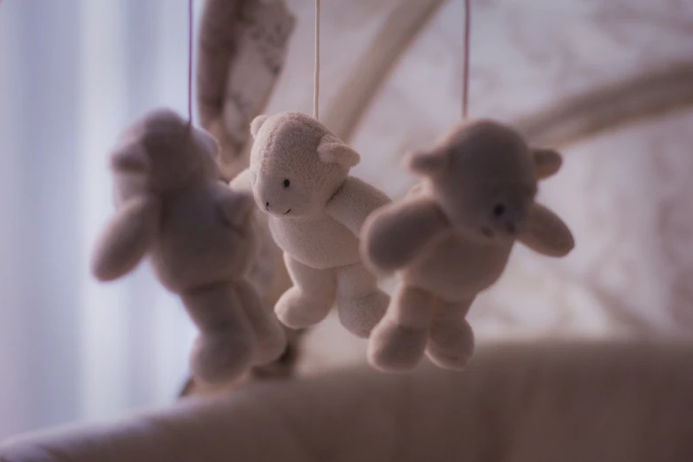 a group of stuffed animals hanging from strings, a picture, inspired by Margaret Geddes, unsplash, romanticism, 35mm macro shot, ivory, trio, taken with sigma 2 0 mm f 1. 4