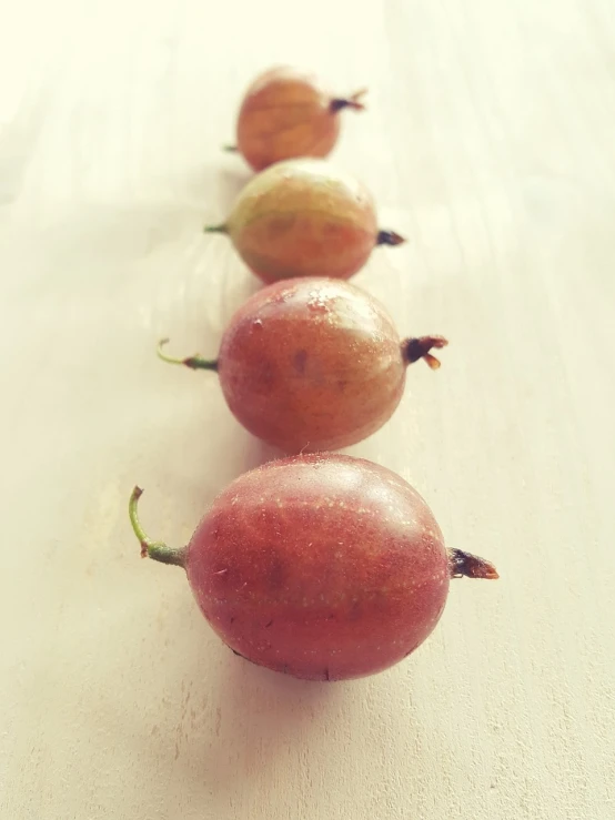 a row of pears sitting on top of a wooden table, a picture, figuration libre, assamese, fuchsia, nature photo