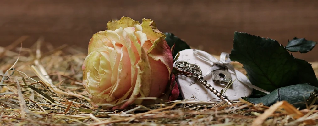 a rose sitting on top of a pile of hay, pixabay, romanticism, jewelry photography, military, banner, shot with sigma f / 4. 2