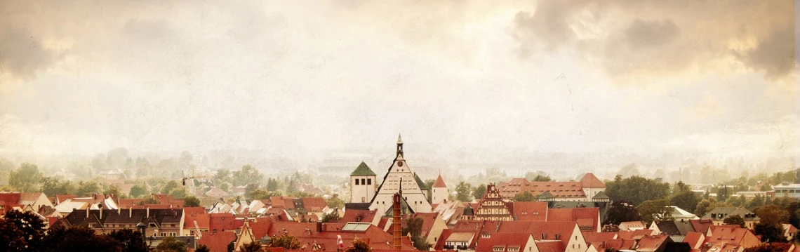 a view of a city from the top of a hill, a tilt shift photo, by Jakob Gauermann, renaissance, old style photo, nuremberg, an illustration, roof background