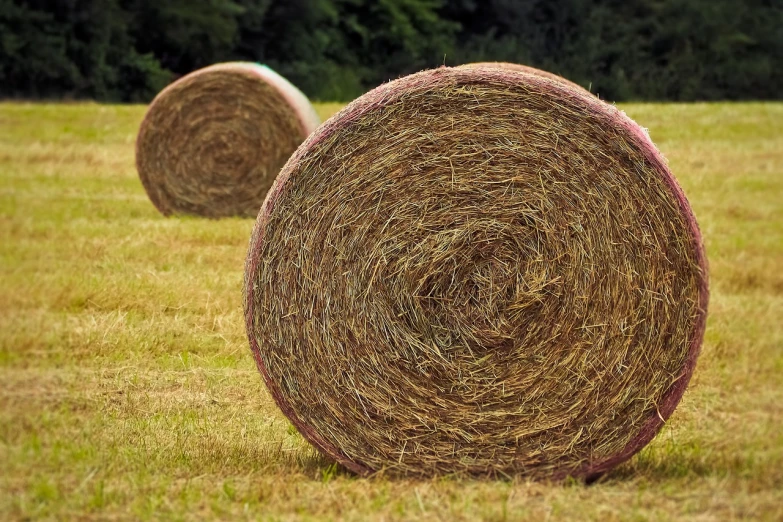 two hay bales in a field with trees in the background, high quality product image”, round-cropped, rondel, spiralling