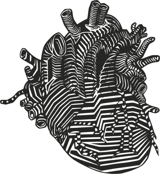 a black and white drawing of a human heart, an abstract drawing, behance, abstract illusionism, vectorized, striped, anamorphic illustration, worms intricated