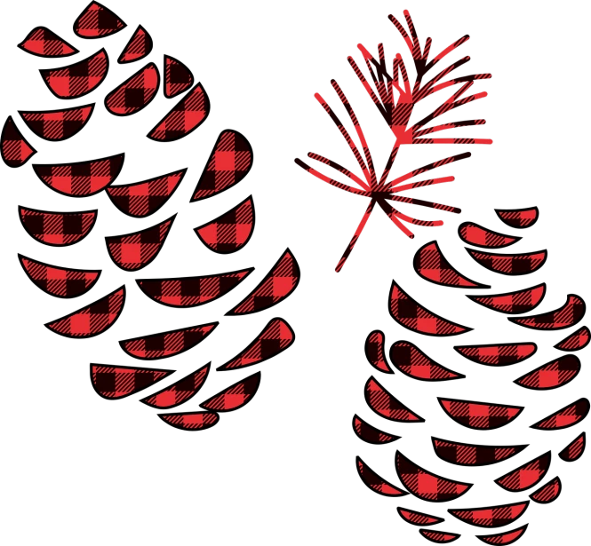 a couple of pine cones sitting next to each other, a digital rendering, generative art, red on black, lumberjack flannel, vectorized, high contrast illustration