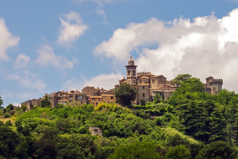 a castle sitting on top of a lush green hillside, a picture, by Carlo Martini, shutterstock, traditional corsican, city buildings on top of trees, !!highly detailed!!, castelvania