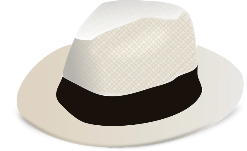 a white hat sitting on top of a white plate, a digital rendering, inspired by Masamitsu Ōta, pixabay, sōsaku hanga, ( ivory black ), wikihow illustration, tuxedo, colored accurately