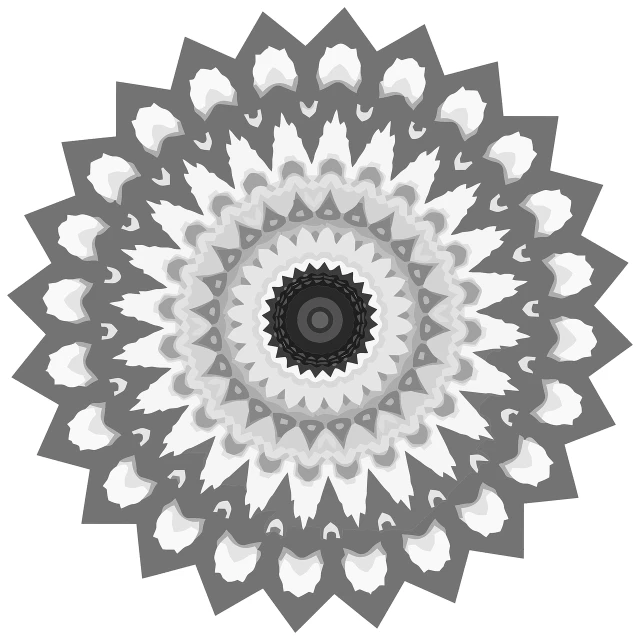 a black and white image of a flower, a digital rendering, inspired by Benoit B. Mandelbrot, colorful mandala, charcoal and silver color scheme, white background and fill, sharp focus vector centered