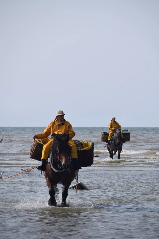 a couple of people riding on the backs of horses, a photo, yellow seaweed, very sharp photo, maintenance photo, very detailed photo