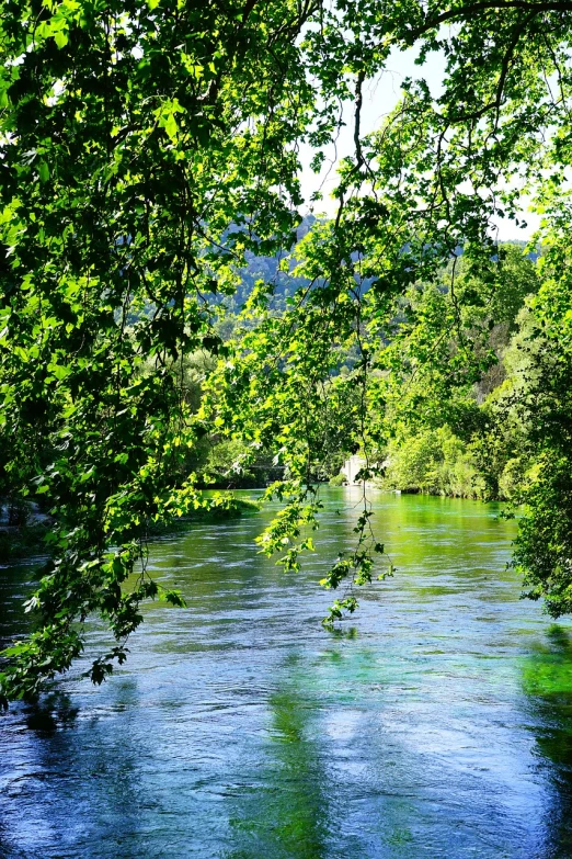 a large body of water surrounded by trees, by Mirko Rački, flickr, hurufiyya, green grasse trees and river, ((oversaturated)), !!natural beauty!!, hamar