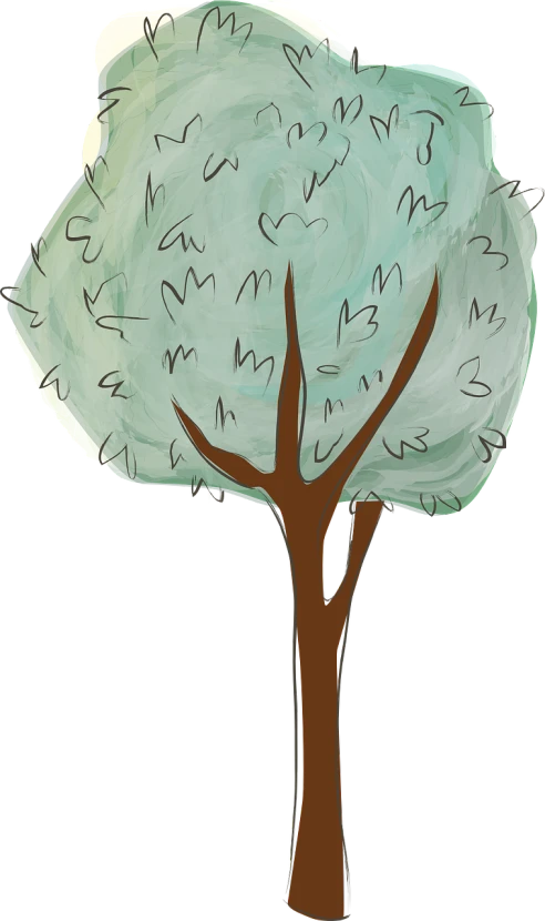 a drawing of a tree on a white background, a digital painting, inspired by Masamitsu Ōta, colored sketch anime manga panel, wikihow illustration