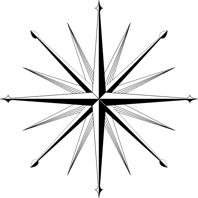 a black and white image of a snowflake, vector art, trending on pixabay, fine art, compass, sail, looking this way, giant star