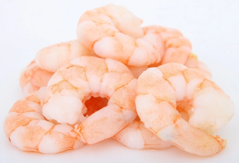 a pile of shrimp sitting on top of a white surface, a picture, h 768, navel, circular, high quality product image”