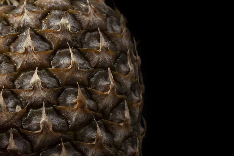 a close up of a pineapple on a black background, a macro photograph, by Andrew Domachowski, featured on zbrush central, view from the side”, natural materials :: high detail, 35 mm product photo”, cone