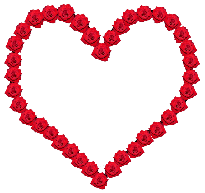 a heart made of red roses on a black background, a digital rendering, clipart, high res photo