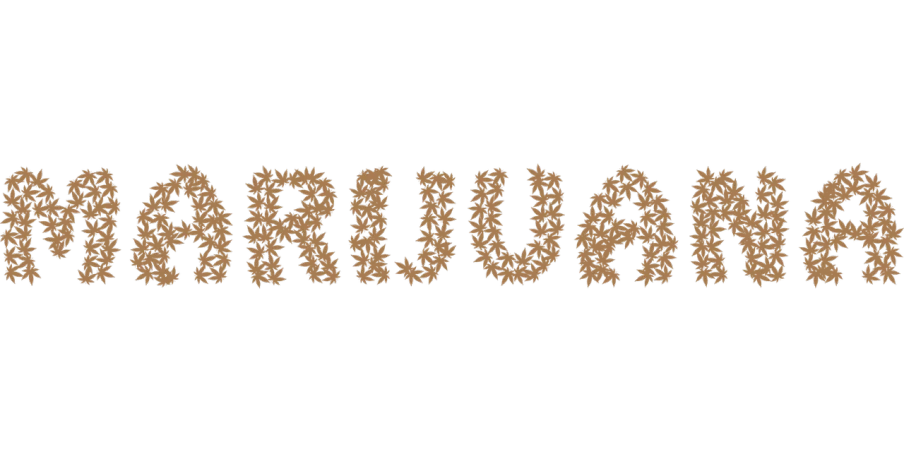 a word made out of leaves on a black background, a digital rendering, hurufiyya, nirvana, cannabis!, briareus, rituals