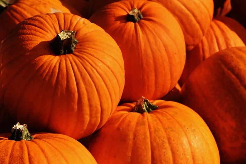 a pile of orange pumpkins sitting on top of each other, a picture, by Tom Carapic, full res, description, laser, english