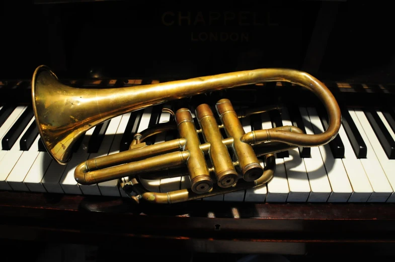 a trumpet sitting on top of a piano keyboard, by Rupert Shephard, small horns, antique, chambers, brass sheet