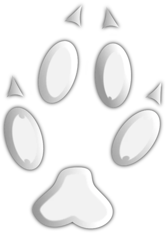 a close up of a paw print on a black background, an ambient occlusion render, inspired by Kōno Michisei, deviantart, furry art, tuxedo cat, cutie mark, complete scene, with a white muzzle