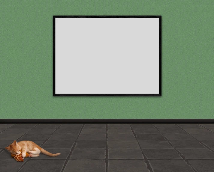 a cat laying on the floor in front of a picture frame, a minimalist painting, by Morris Kestelman, shutterstock, photo of the cinema screen, catdog, classroom background, made with photoshop