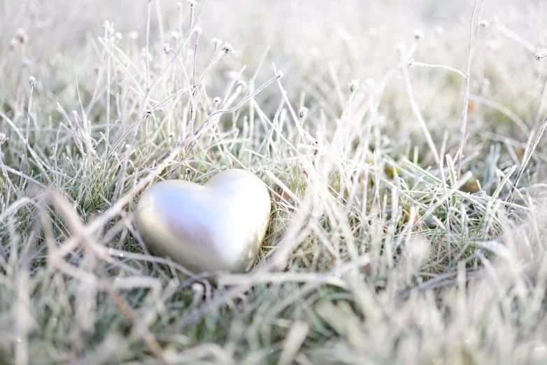 a heart shaped object sitting on top of frost covered grass, a photo, flickr, white gold, soft skin, gleaming silver, awww