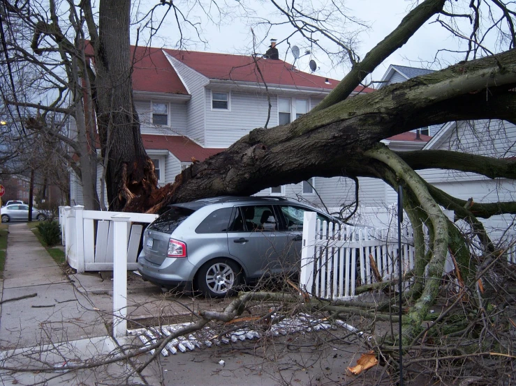 a car is parked next to a fallen tree, by Matthew D. Wilson, flickr, dada, [ realistic photo ]!!, from wheaton illinois, over-shoulder shot, bonsai tree on roof